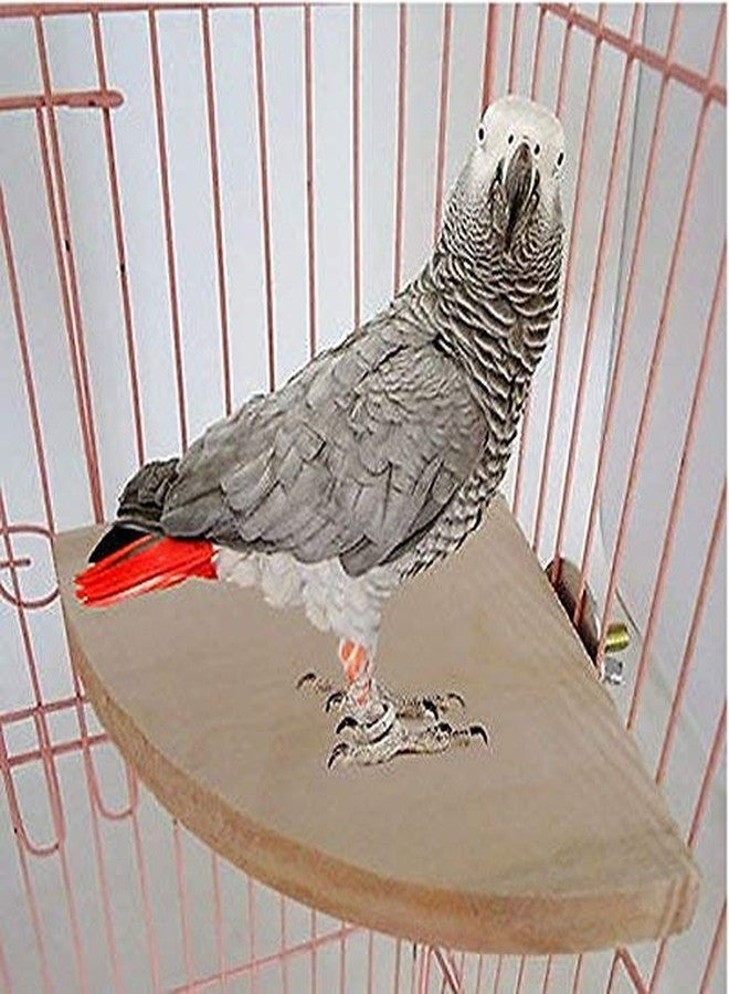 DreamAuro Natural Wood Corner Platform/Perch/Stand Bird Toy (4x10 cm) - Image 3